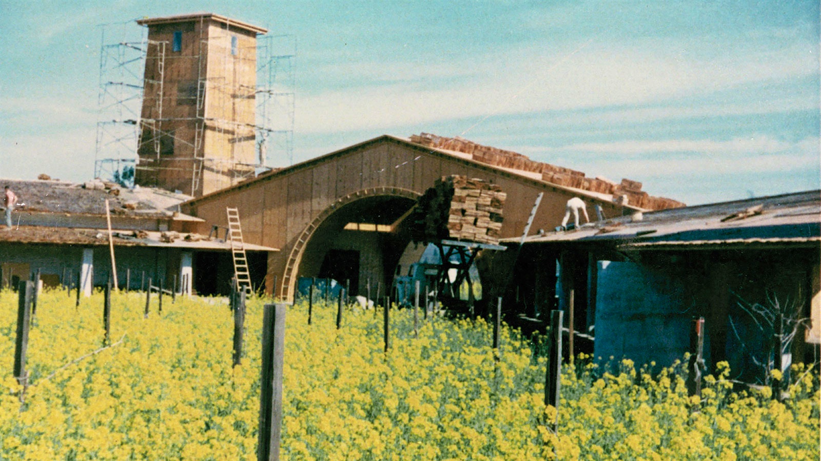 The Robert Mondavi winery, with its iconic tower and archway, under construction in a field of mustard flowers in 1966